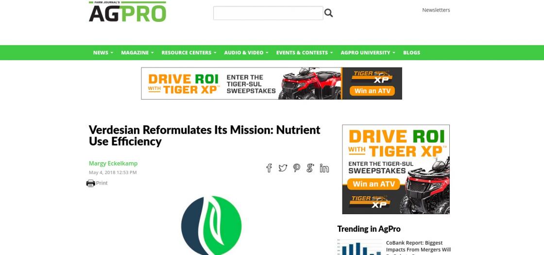 Article page