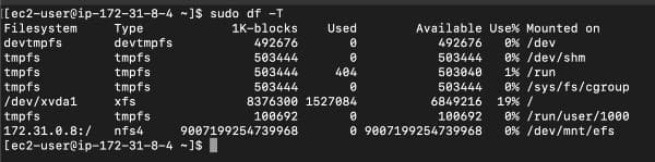 Displaying details of mounted EFS file systems using sudo df -T command