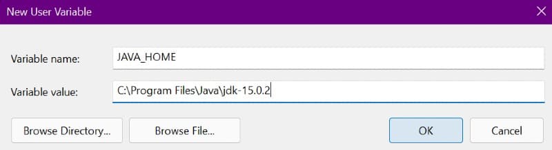 Filled form for new user variable for jdk