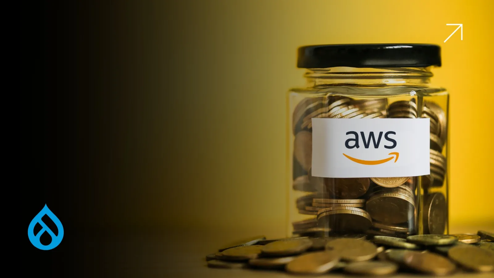 Drupal on AWS Savings Plan for Smart CTOs 