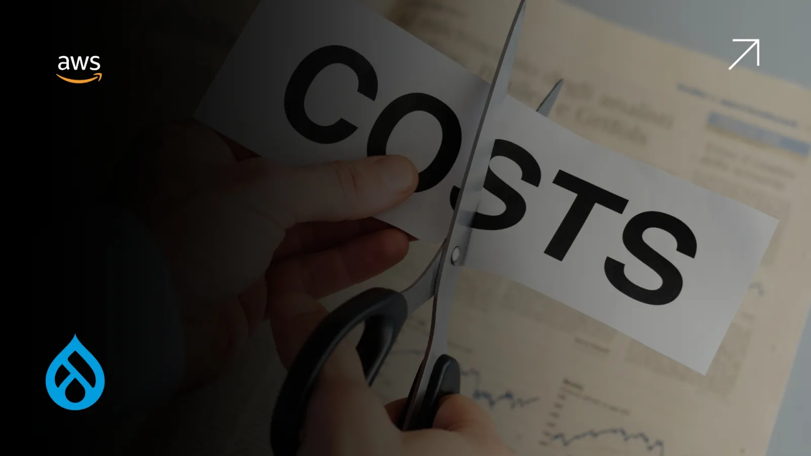 The Top 5 AWS Cost Optimization Tools Every Drupal Site Should Use