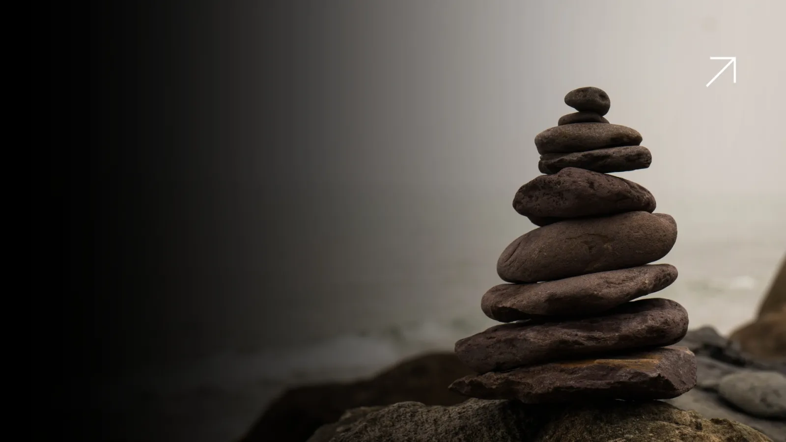 HCP Journey Mapping the Missing Link in Pharma Marketing ROI