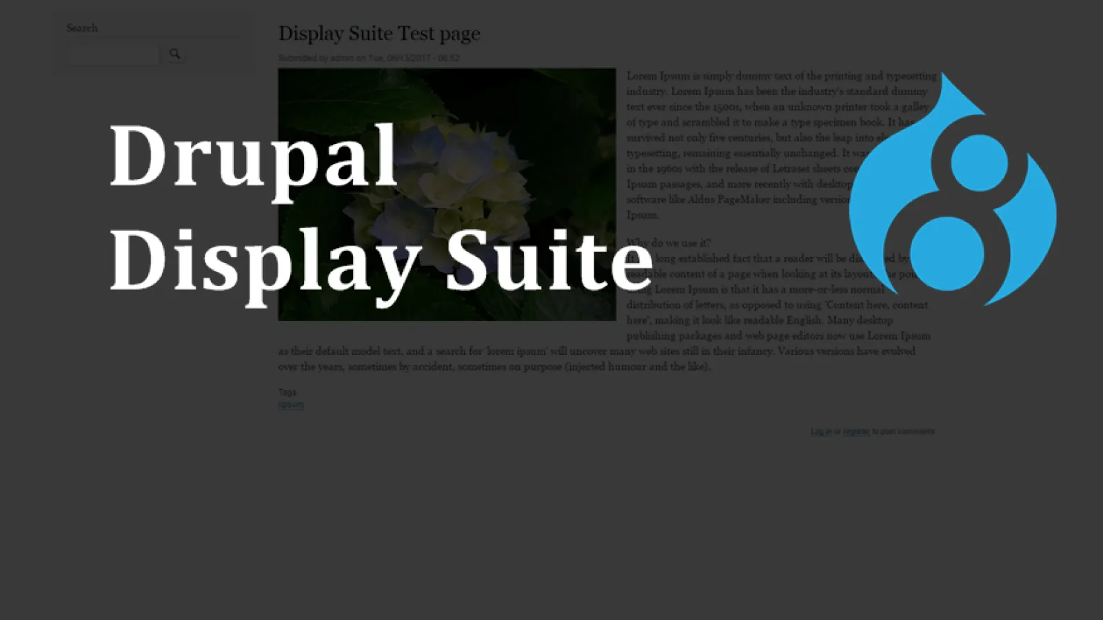 Display Suit module in Drupal 8
