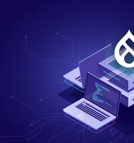 Drupal Development agency