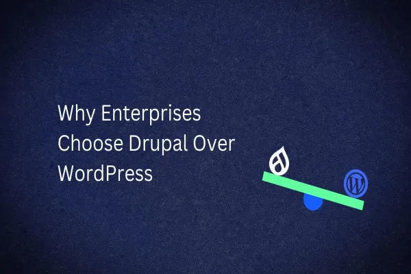 Why Enterprises Choose Drupal Over WordPress