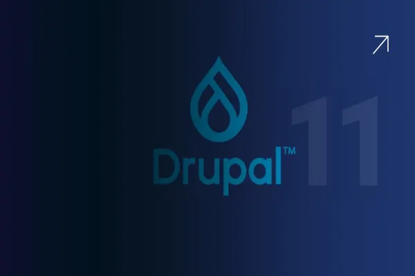 Exploring Drupal 11: Key Features and Improvements for Your Business