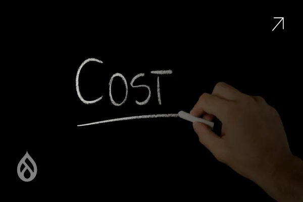 Budgeting for Your Drupal Migration: What to Expect in Terms of Costs