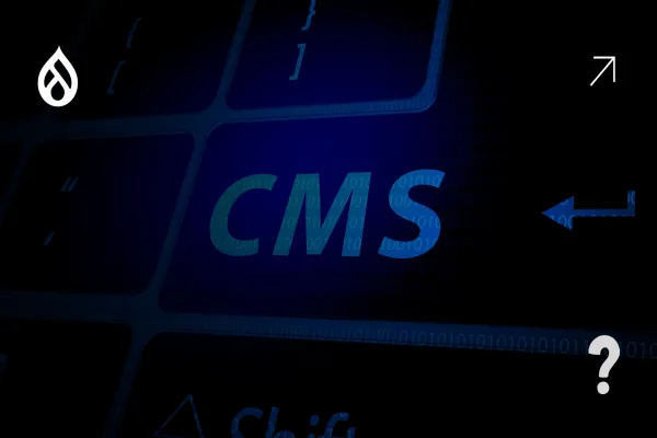 Drupal vs. Other CMS: Making the Right Choice for Your Business