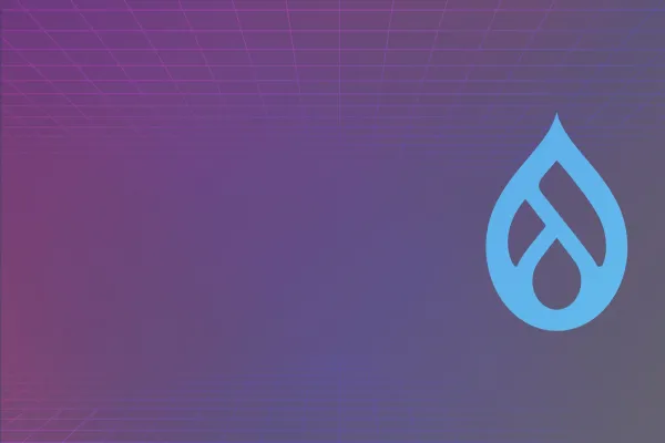 Challenges and Benefits of Drupal in the Enterprise