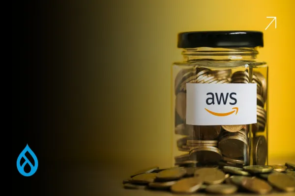 Drupal on AWS Savings Plan for Smart CTOs 