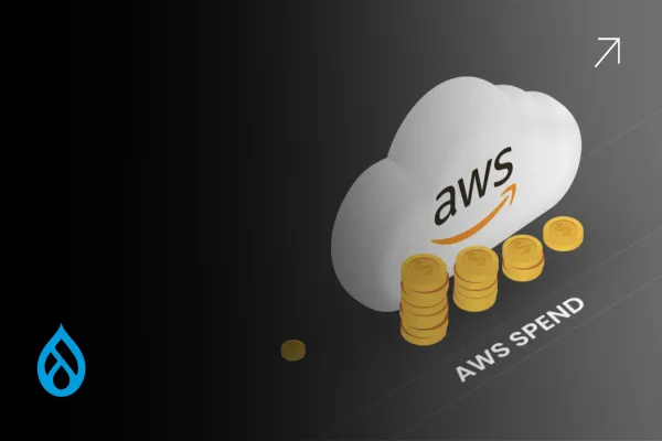 Why CIOs Are Rethinking Their AWS Spend for Drupal Platforms