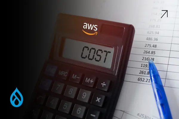 What Drupal Agencies Won’t Tell You About AWS Cost Optimization