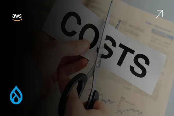 The Top 5 AWS Cost Optimization Tools Every Drupal Site Should Use