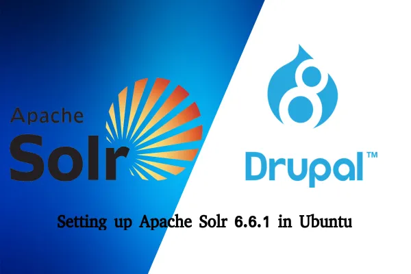 Apache solr