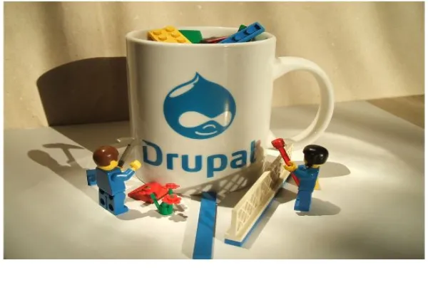 What does a Drupal Developer do?