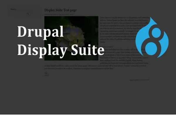 Display Suit module in Drupal 8