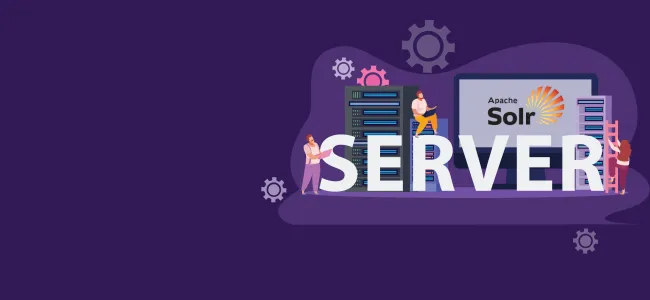 Configuration of Apache solr server 4.6 on Windows