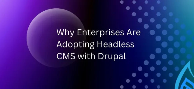 Why Enterprises Are Adopting Headless CMS with Drupal
