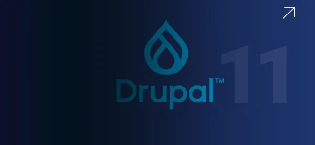 Exploring Drupal 11: Key Features and Improvements for Your Business