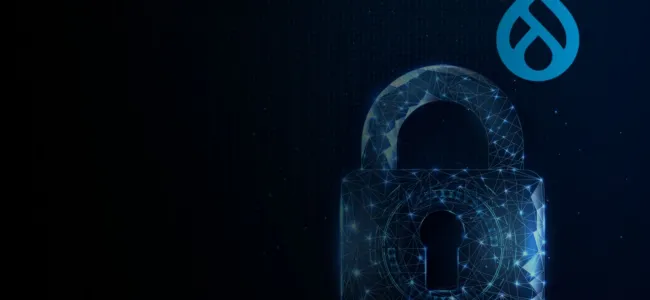 Drupal Security Guide: How to Keep Your Drupal Site Secure