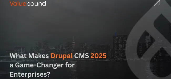 What Makes Drupal CMS 2025 a Game-Changer for Enterprises?