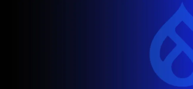 CMO's Guide to Multi-Brand Consistency Across Drupal Sites