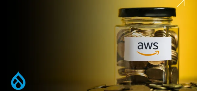 Drupal on AWS Savings Plan for Smart CTOs 