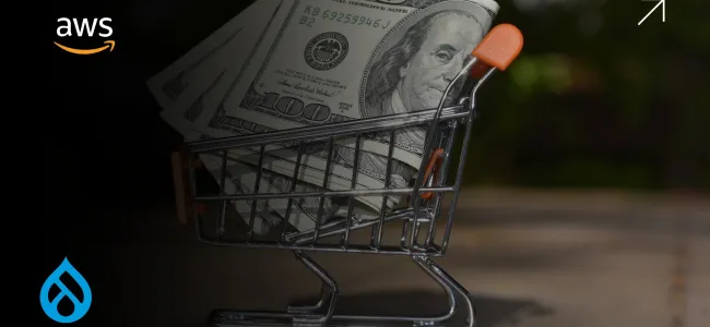 How to Set Up Auto-Scaling for Drupal on AWS and Slash Costs