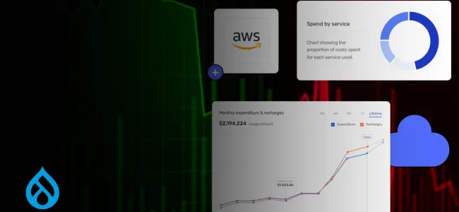 Decoding the True Cost of Running Drupal on AWS in 2025