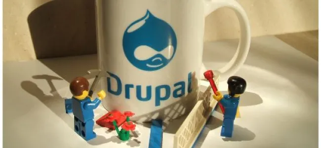 What does a Drupal Developer do?