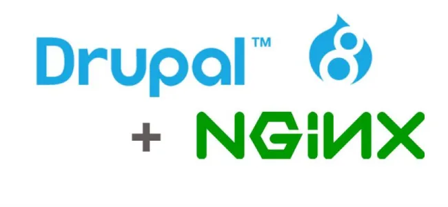 Drupal NGINX
