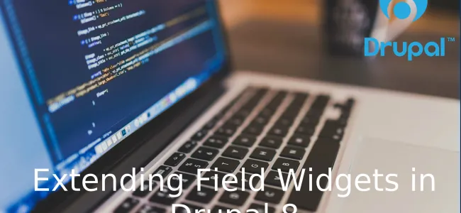 field widgets in Drupal 8