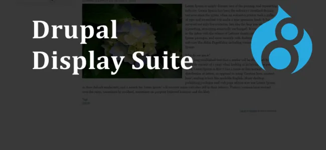 Display Suit module in Drupal 8