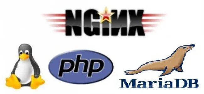 Nginx, MariaDB, PHP And phpMyAdmin installation