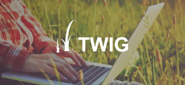 Twig: An Introduction to theming in Drupal 8?